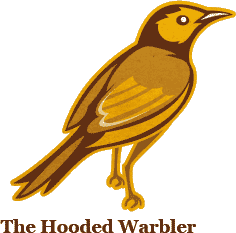 The Hooded Warbler